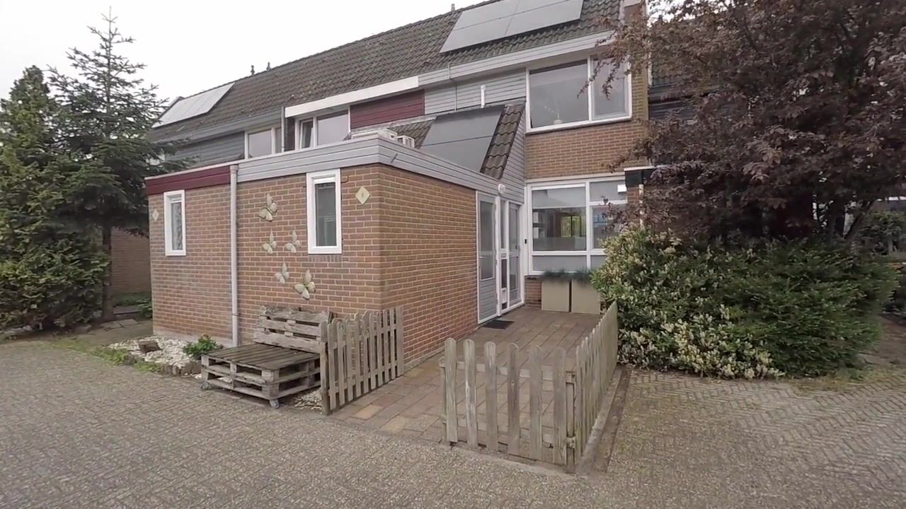 Video van Leeuwerik 8