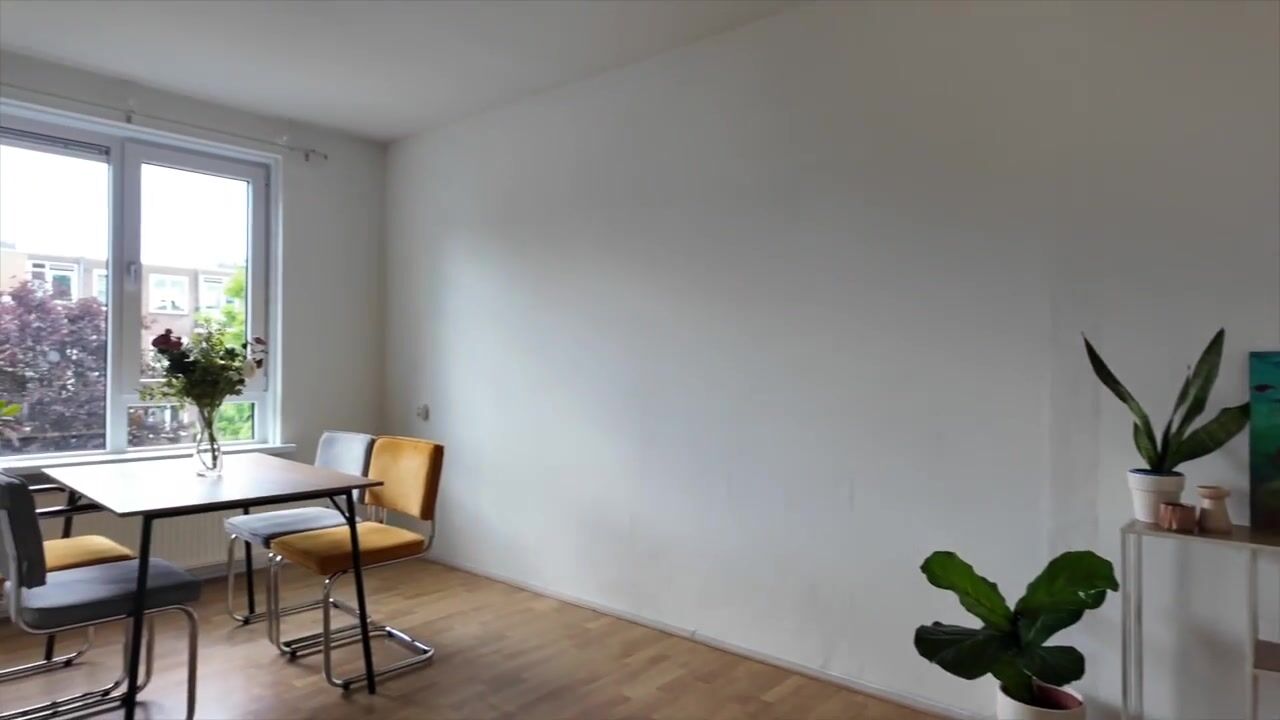 Video van Van Bijnkershoeklaan 305