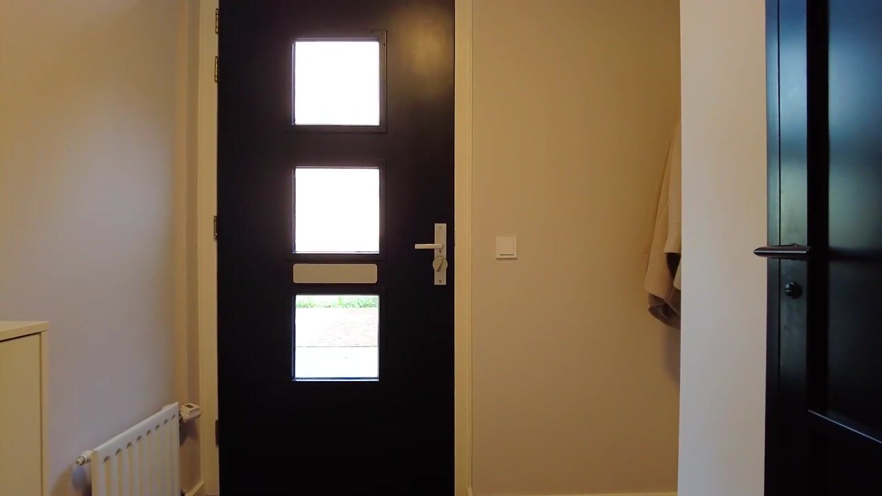 Video of Baudevoort 47