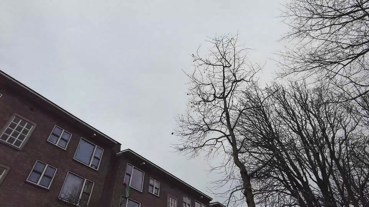 Video of Vredenoordlaan 62-C