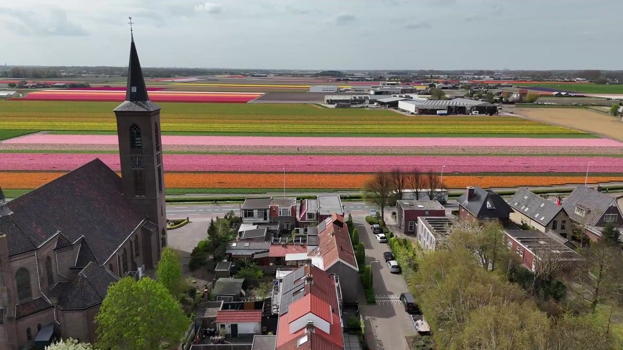 Video van Kamille 24