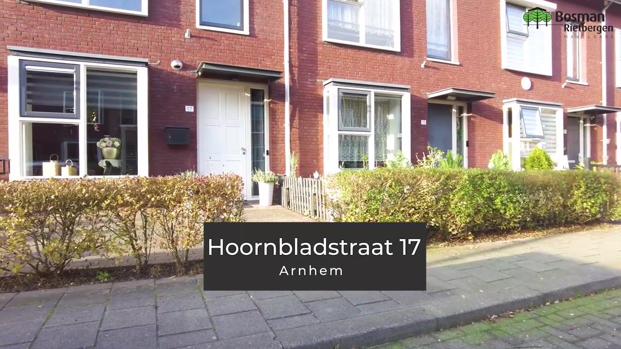 Video van Hoornbladstraat 17