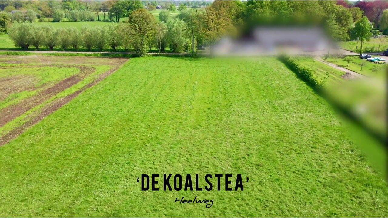 Bekijk video van De Koalstea