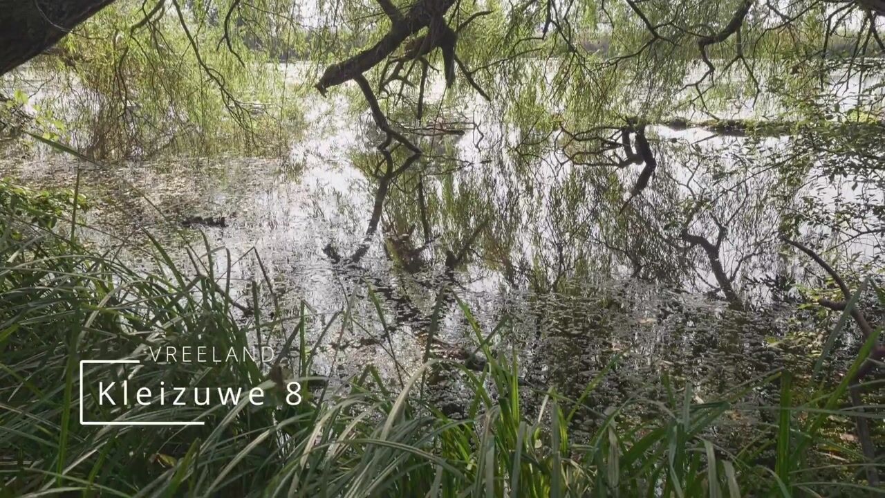 Video van Kleizuwe 8