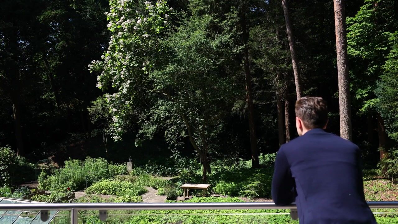 Video of Duinweg 11