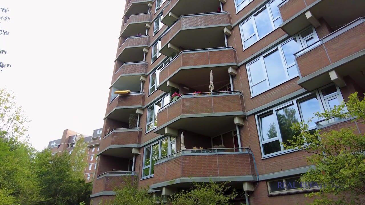 Video van Leerdamhof 11