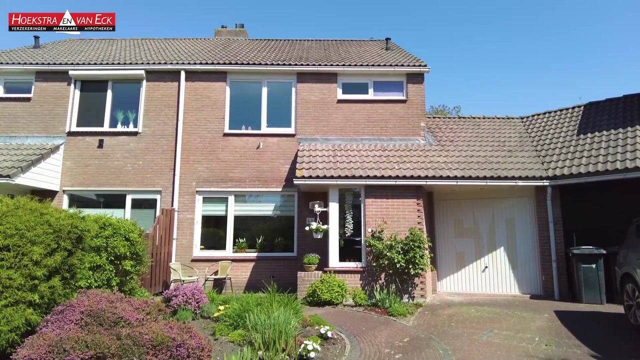 Video of Boterbloem 60