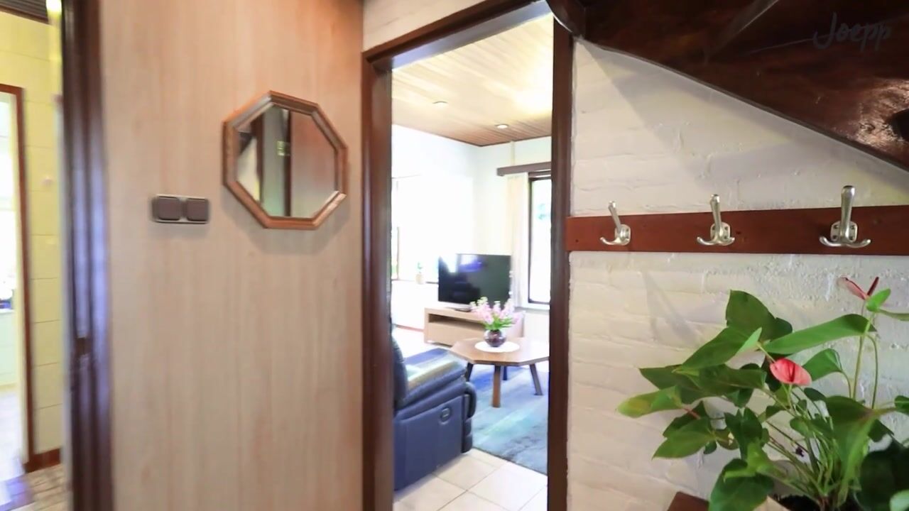 Video van Natteweg 8