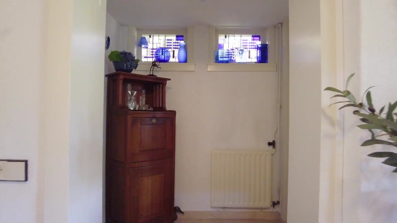 Video of Prins Mauritslaan 5