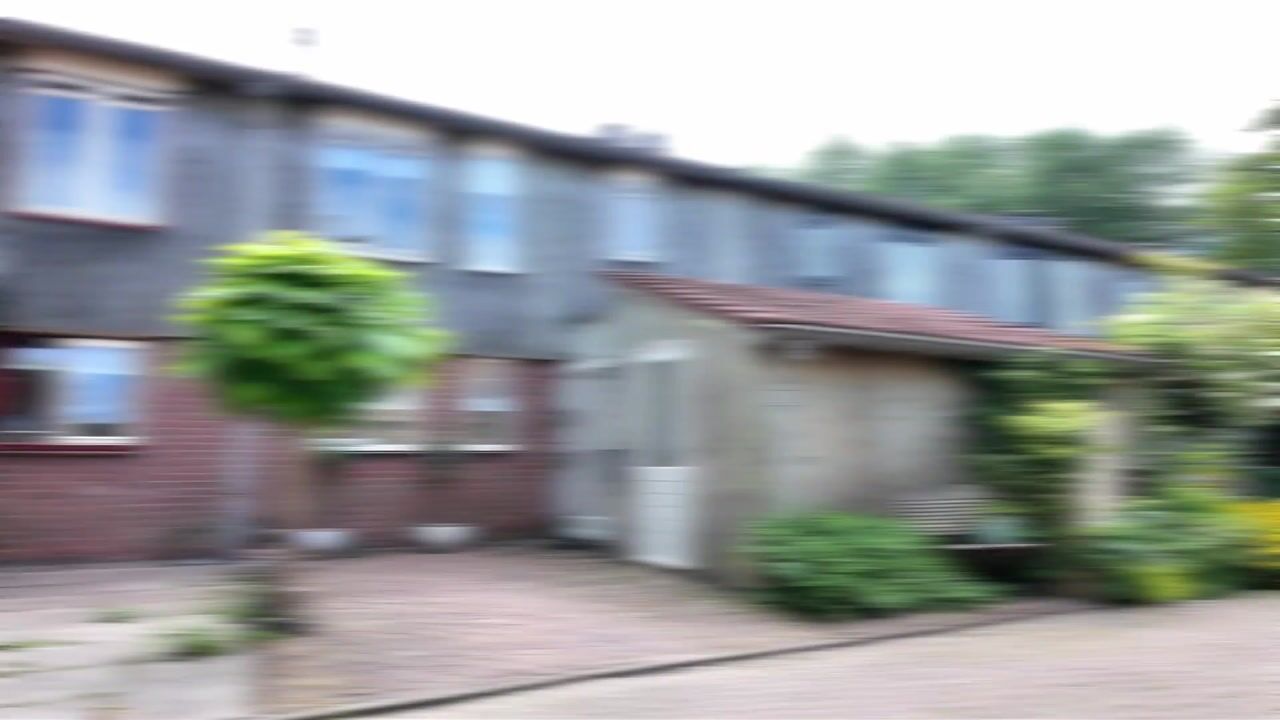 Video van Dwarsland 18