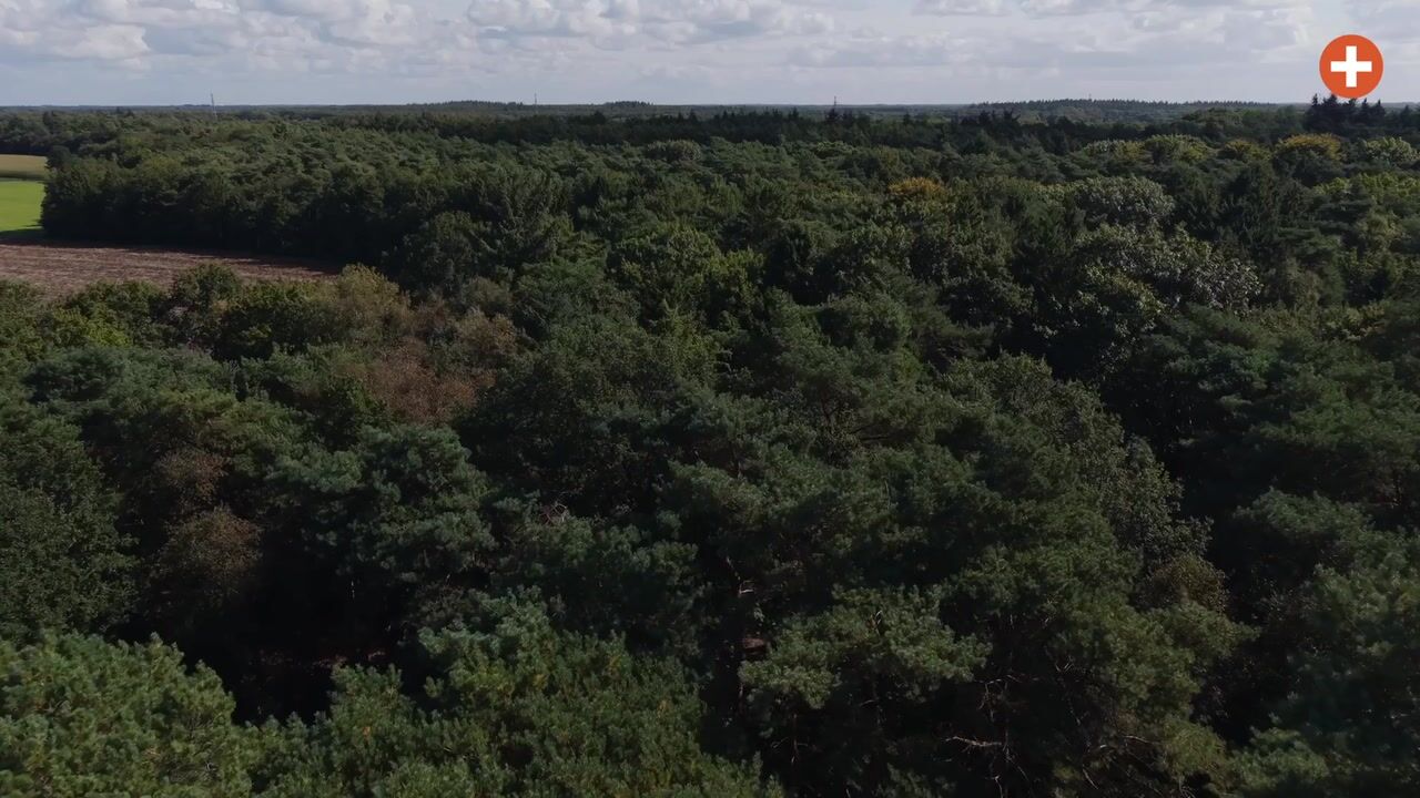 Video of Dassenpad 15