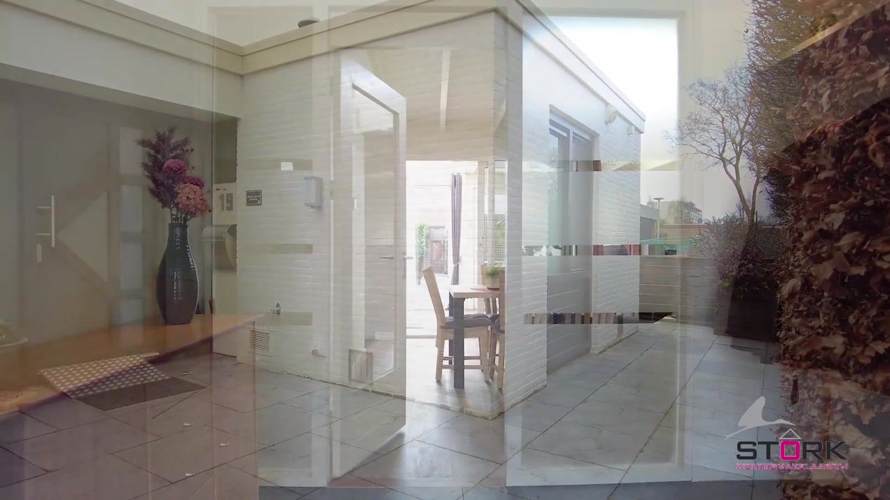 Video of De Woerd 19