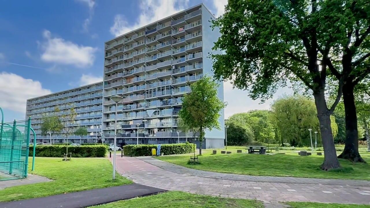 Video van Vliestroom 163