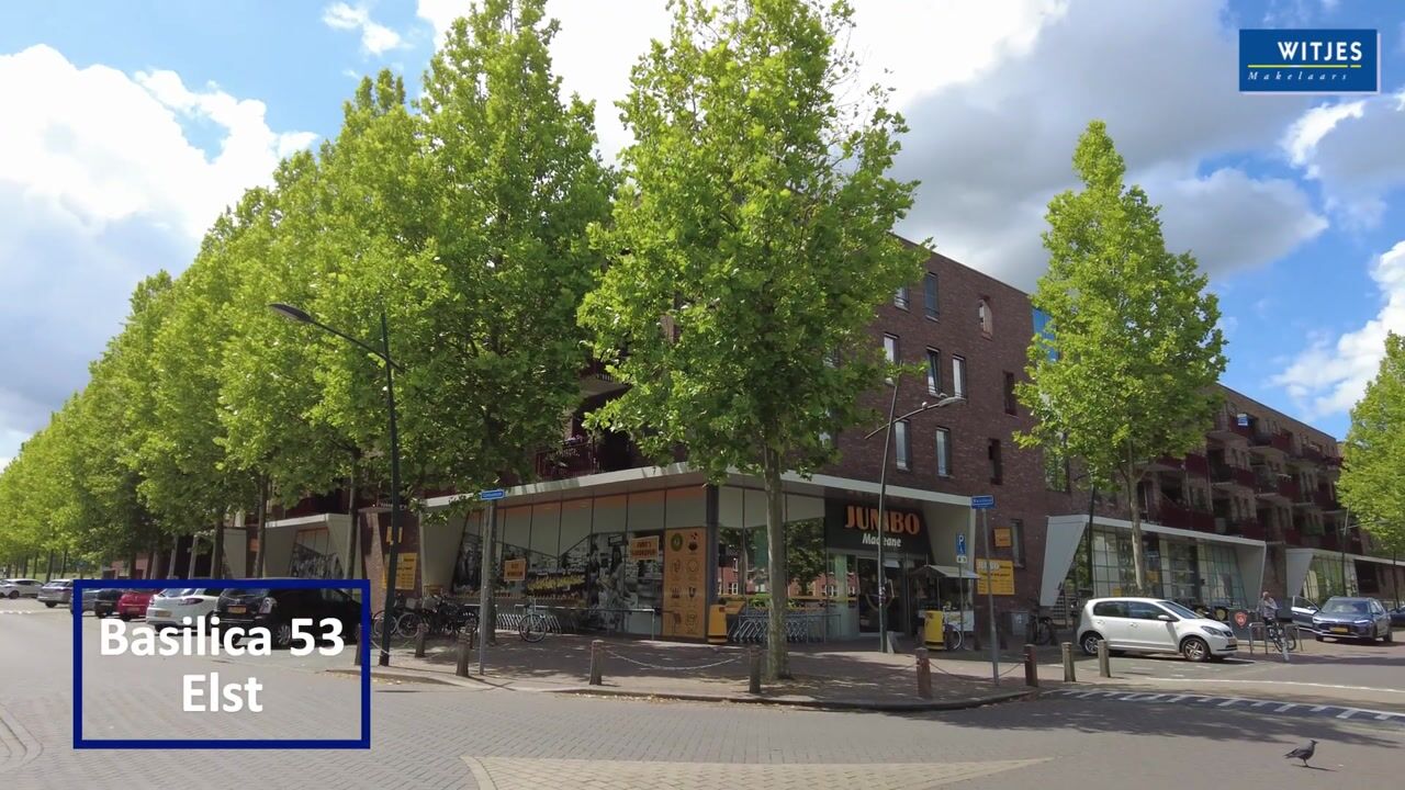 Video van Basilica 53