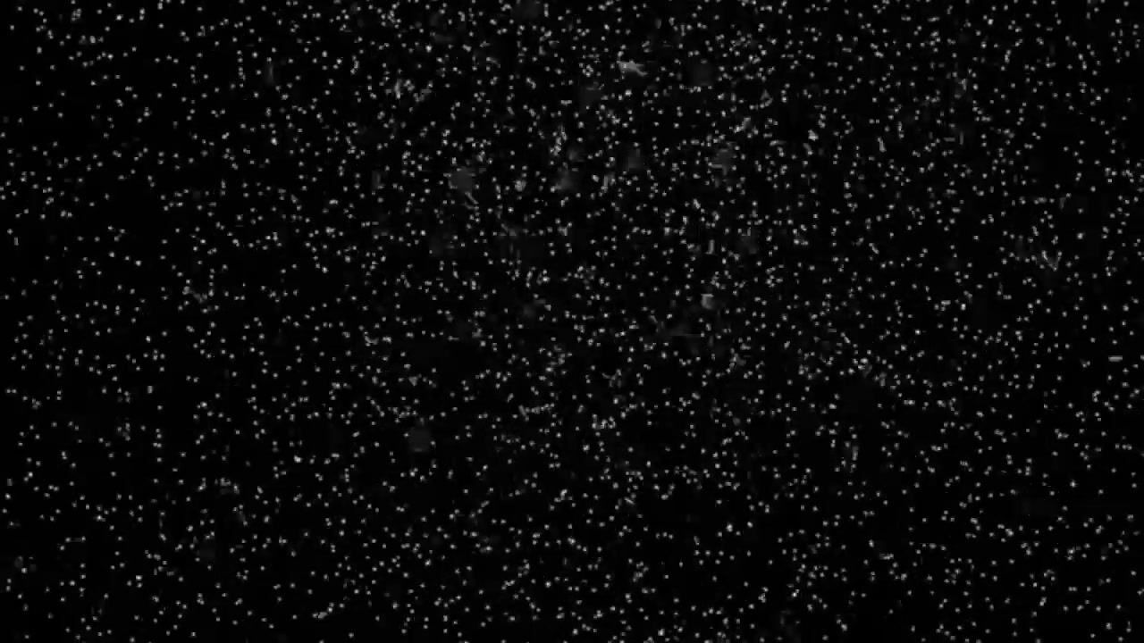 Video van Westerdijk 4-0407