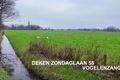 Bekijk video