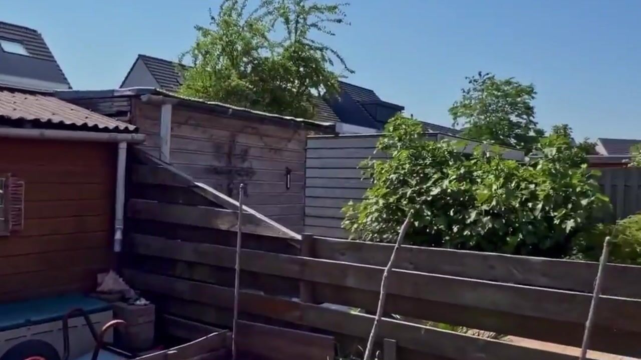 Video van Willem Hofsteestraat 78