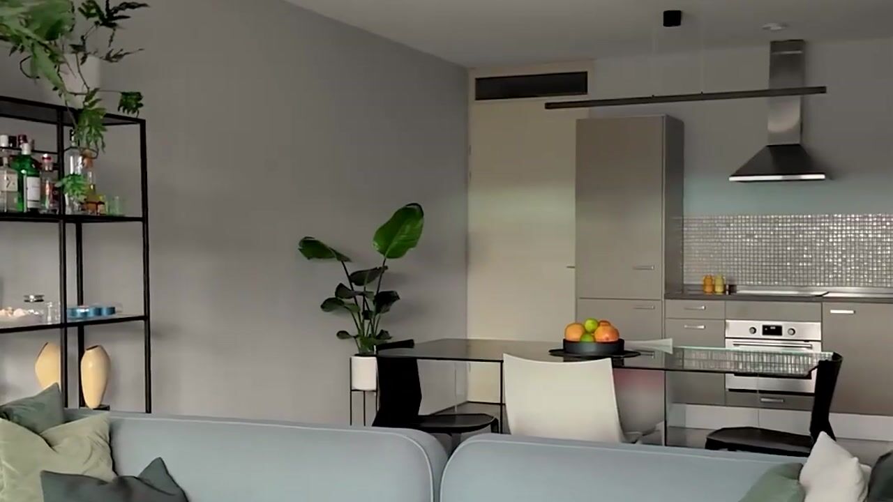 Video van Oppert 244