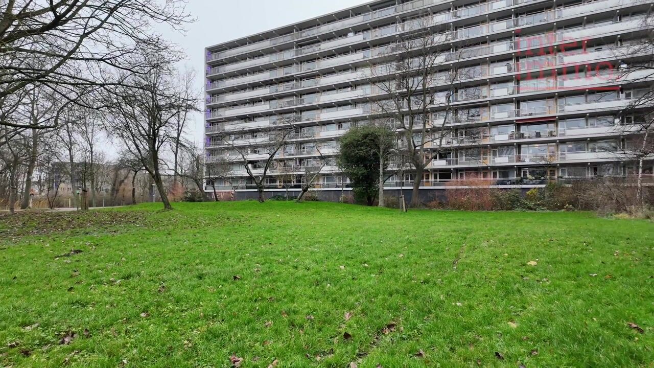 Video van Bergmolen 59