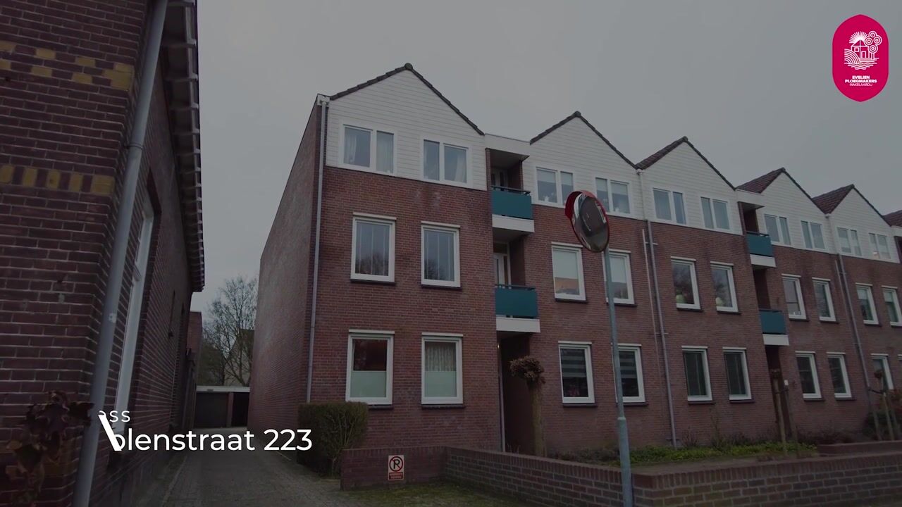 Video van Molenstraat 223
