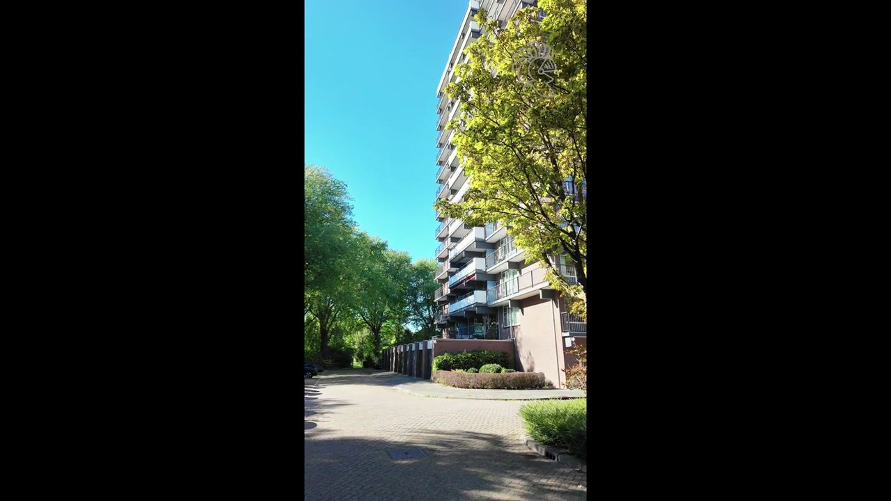 Video van Reggestraat 5
