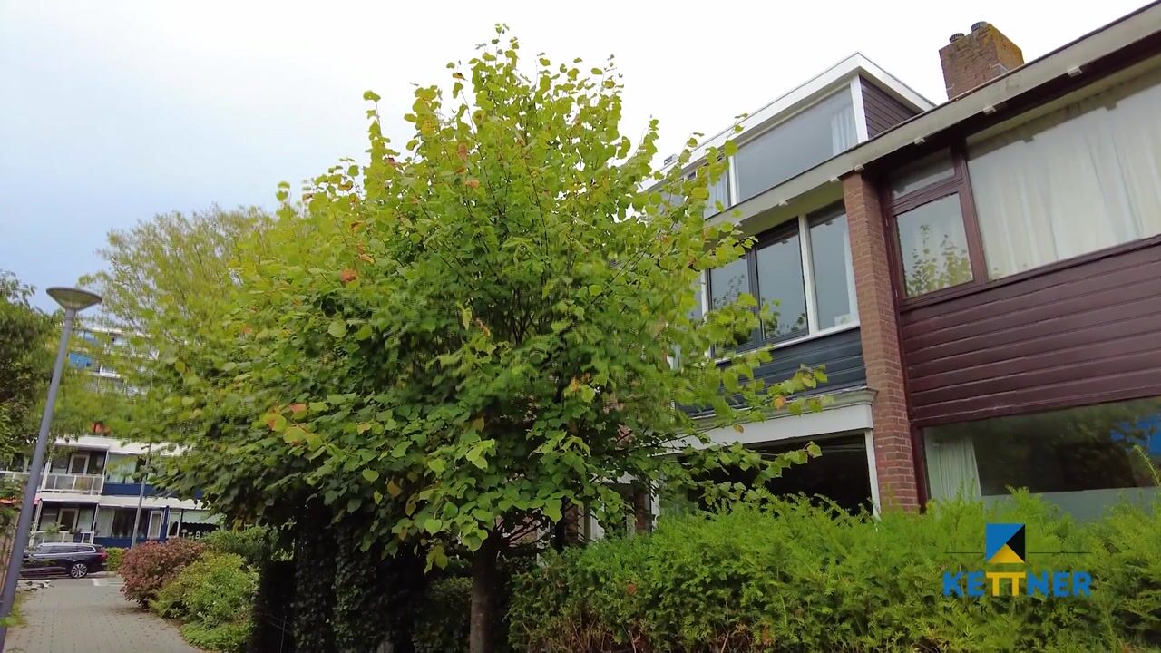 Video van Van der Helmstraat 241