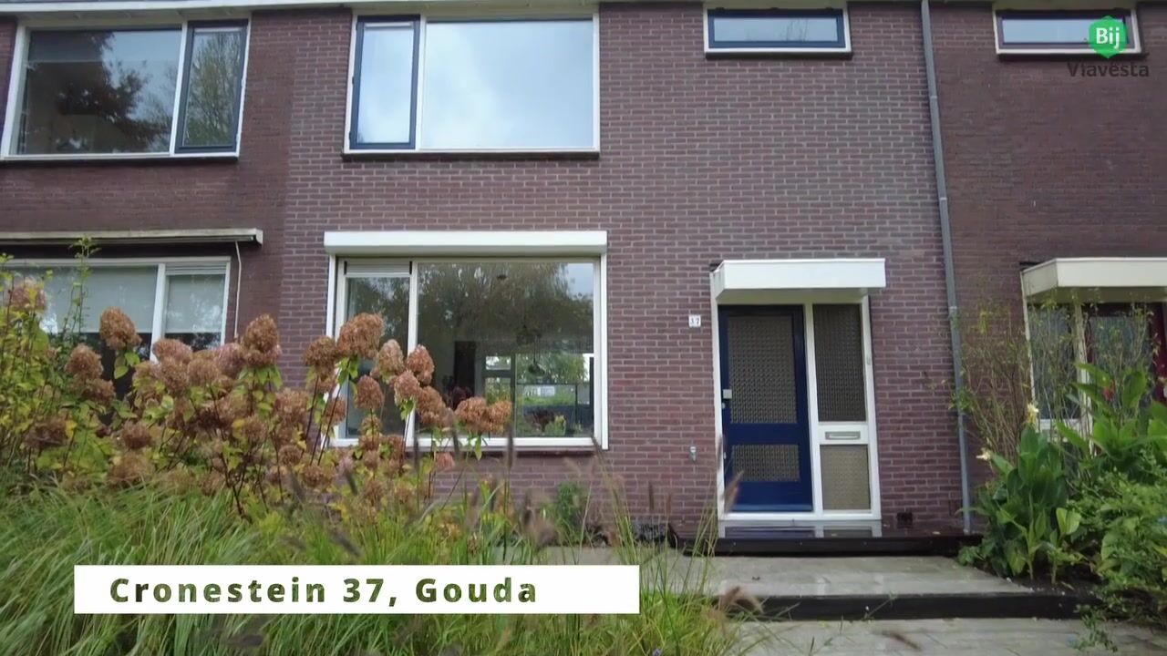 Video van Cronestein 37