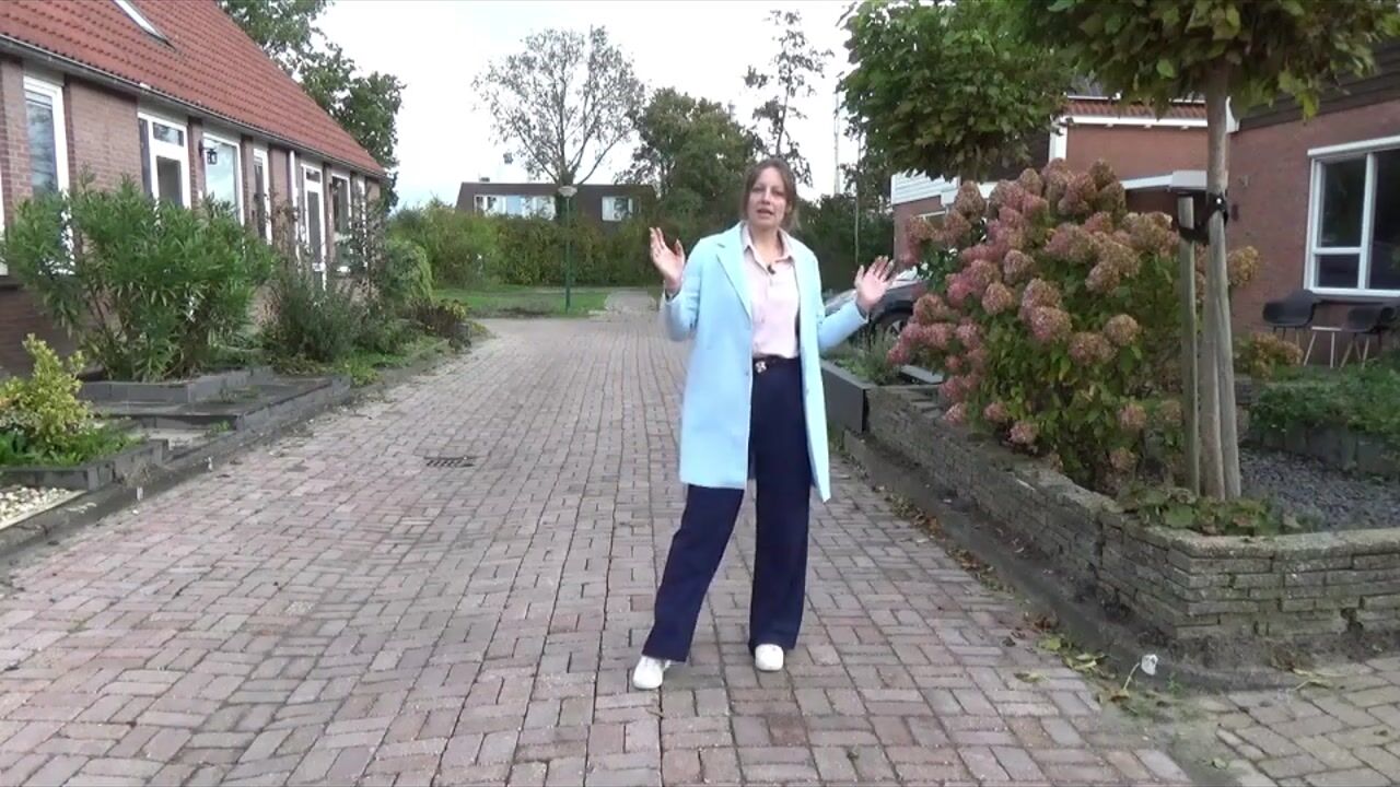 Video van Mientlân 37