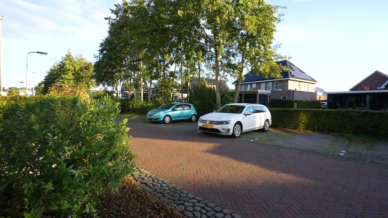 Video van Weidelint 42