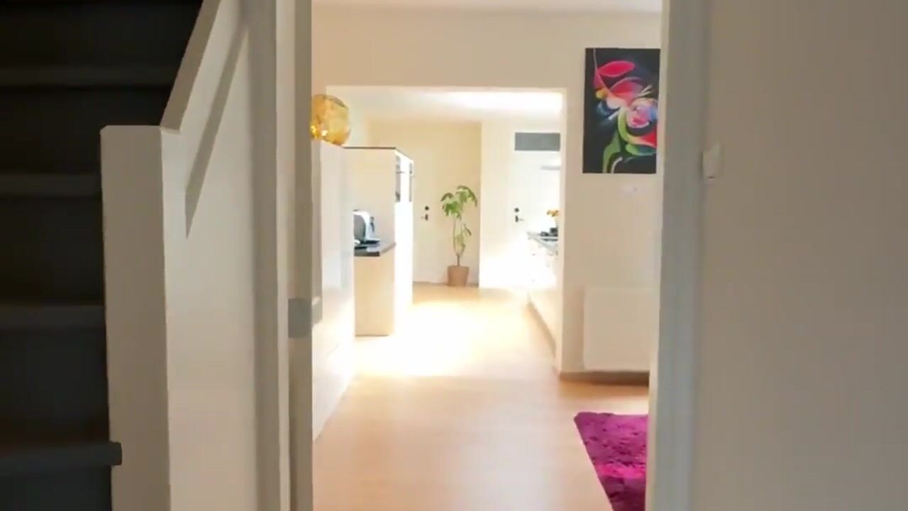 Video of Lindeplein 17