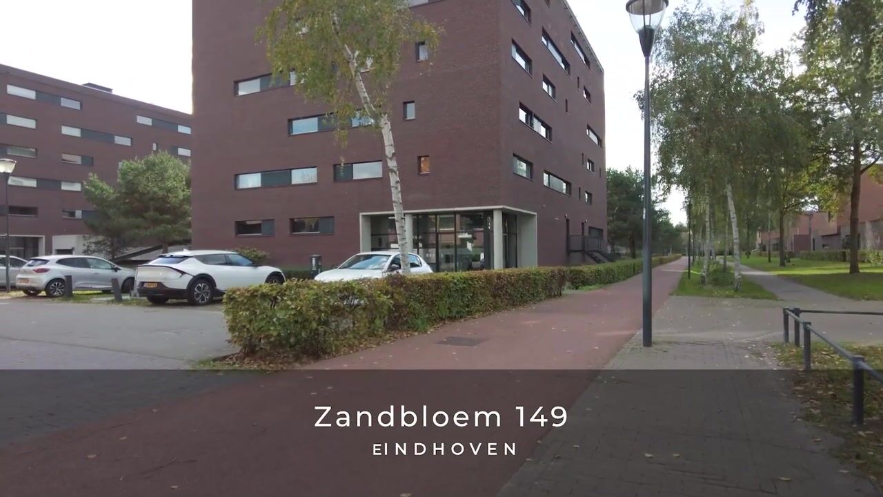 Video of Zandbloem 149