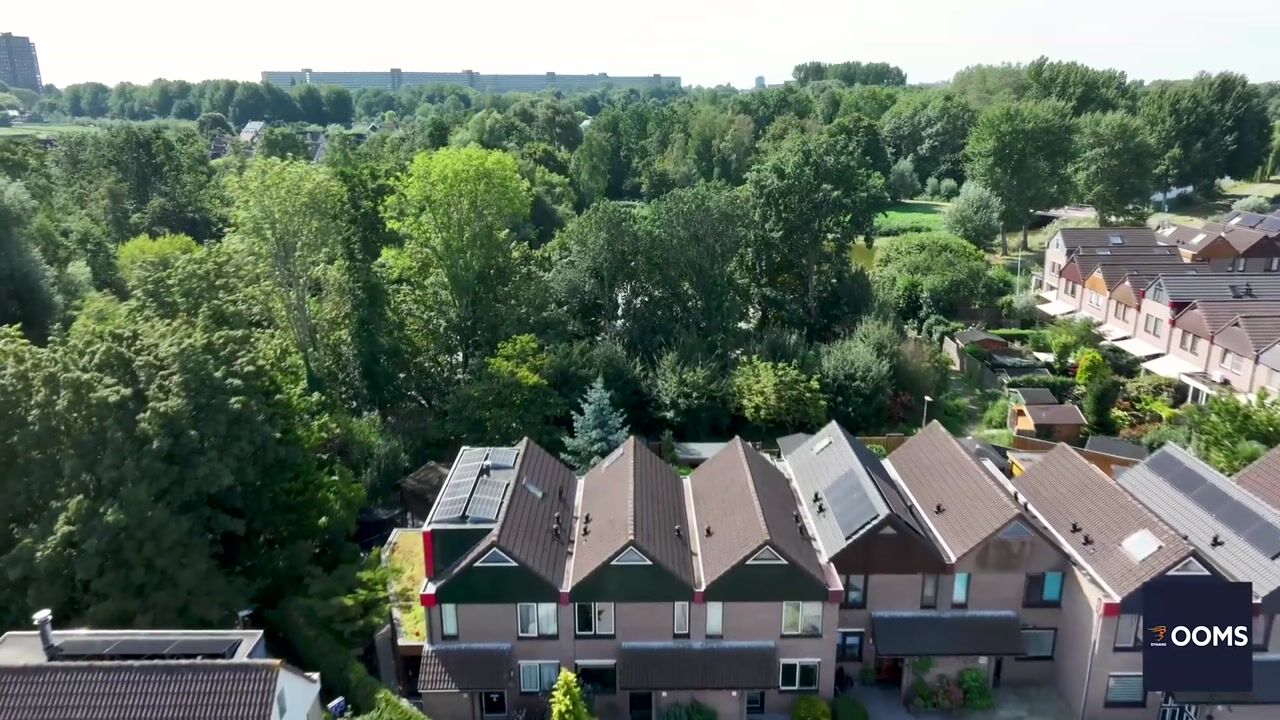 Video van Pastel 54
