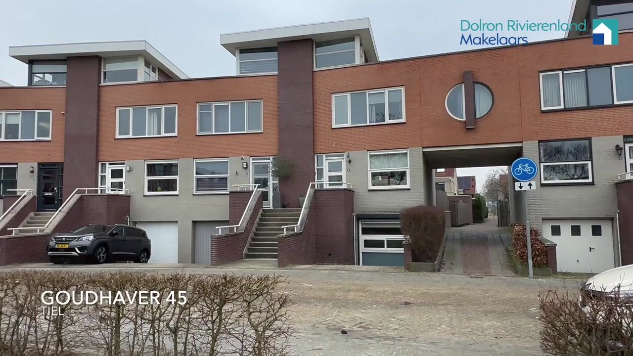 Video van Goudhaver 45