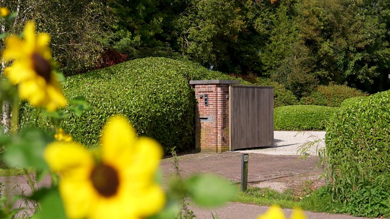 Video van Buntwal 18