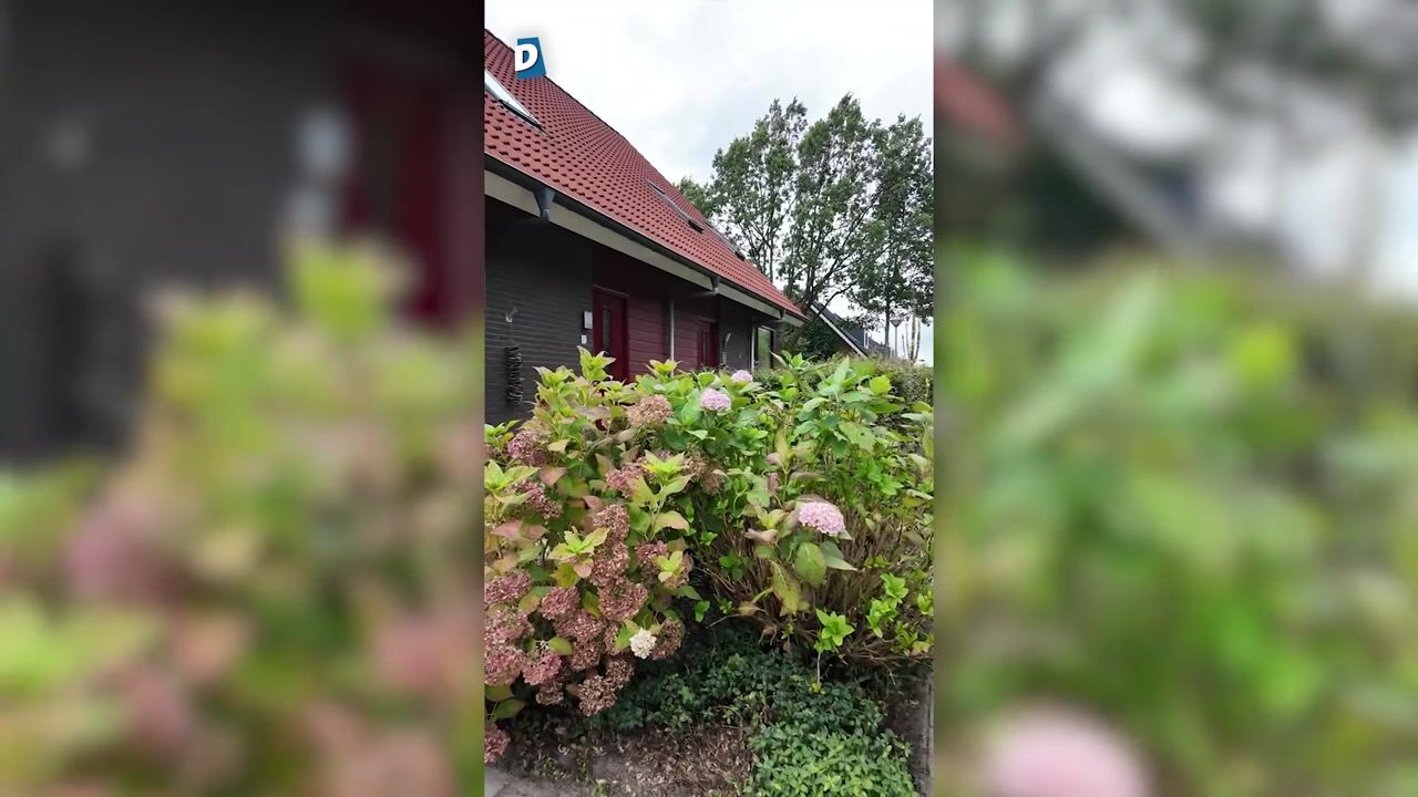Video van Boerekrookje 37