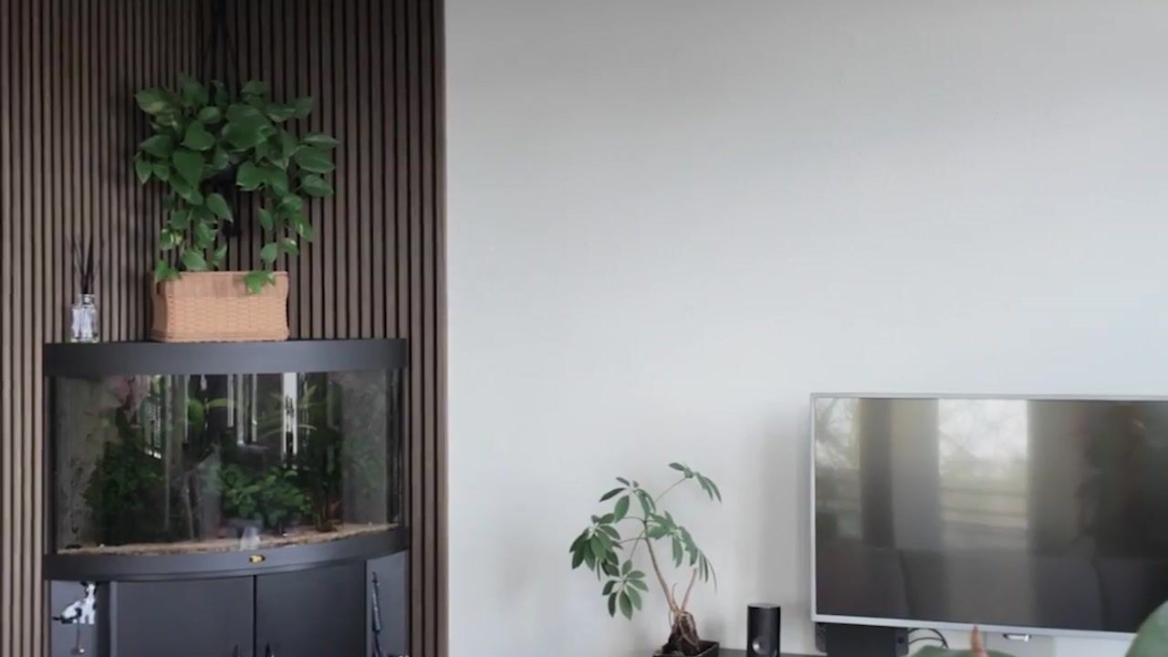 Video van Dr. H.B. Wiardi Beckmanplein 321