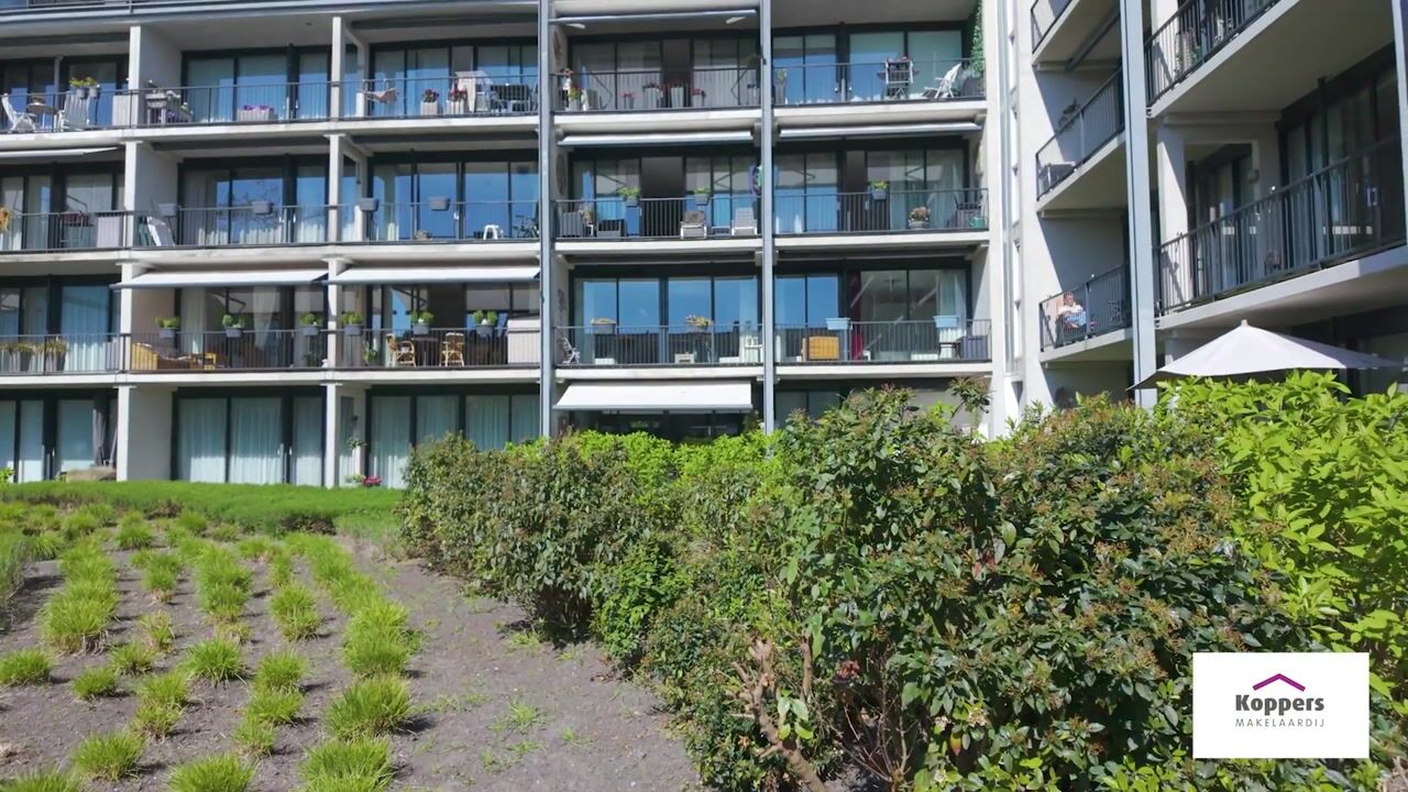 Video of Maronia 38