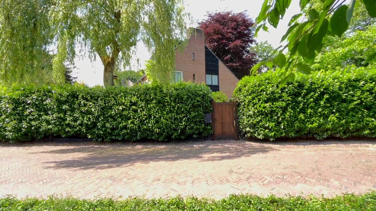 Video van Haenwijck 2