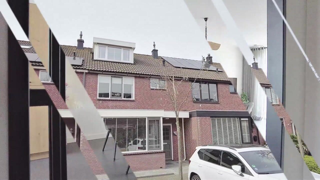 Video van Anthurium 16