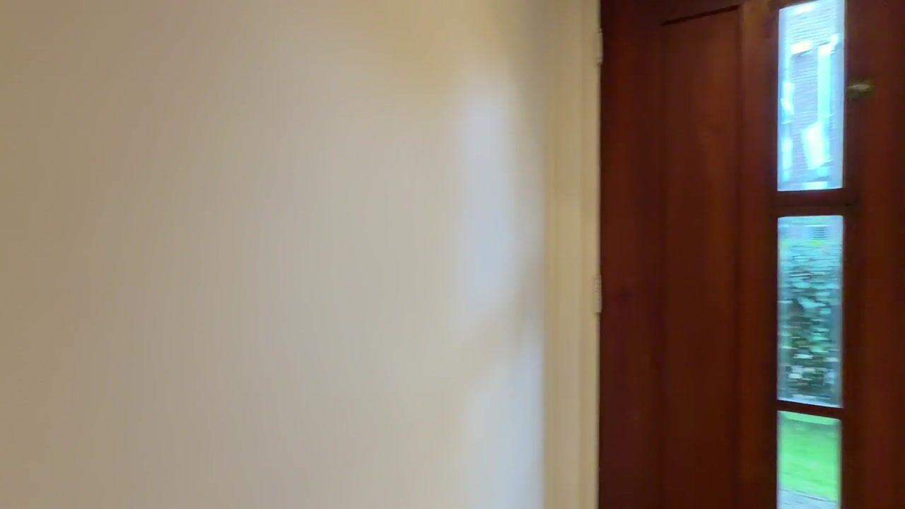 Video van Wilhelminastraat 33