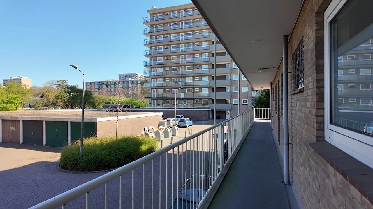 Video van Bijdorp 21