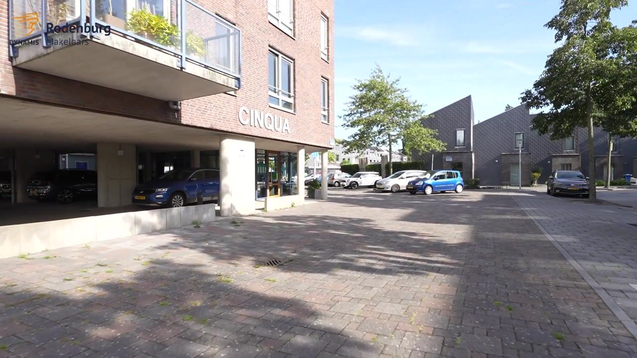 Bekijk video van Lisdodde 59