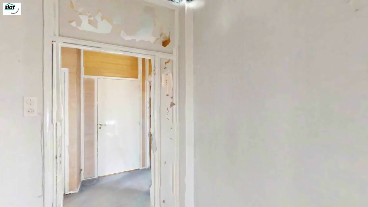 Video of Meander 295