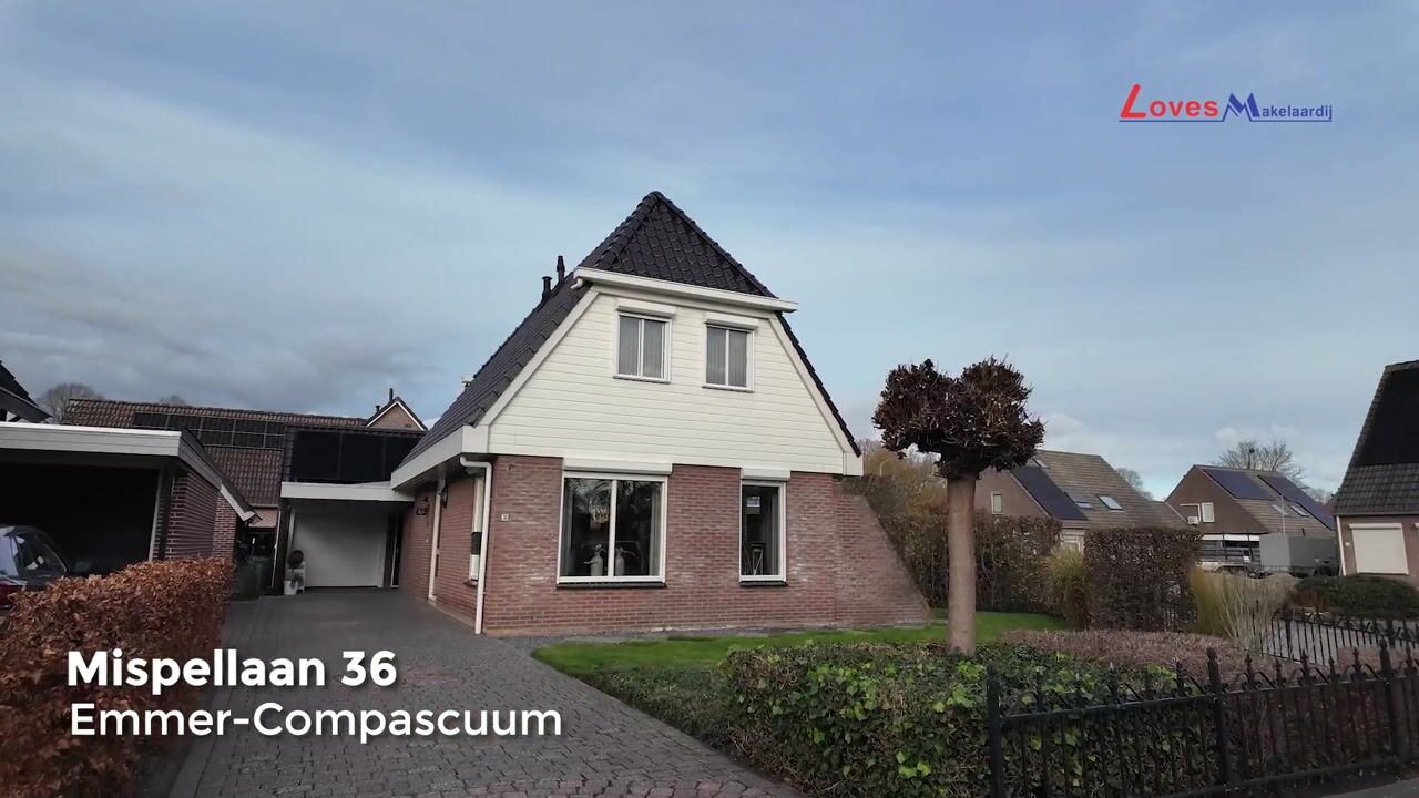 Video of Mispellaan 36