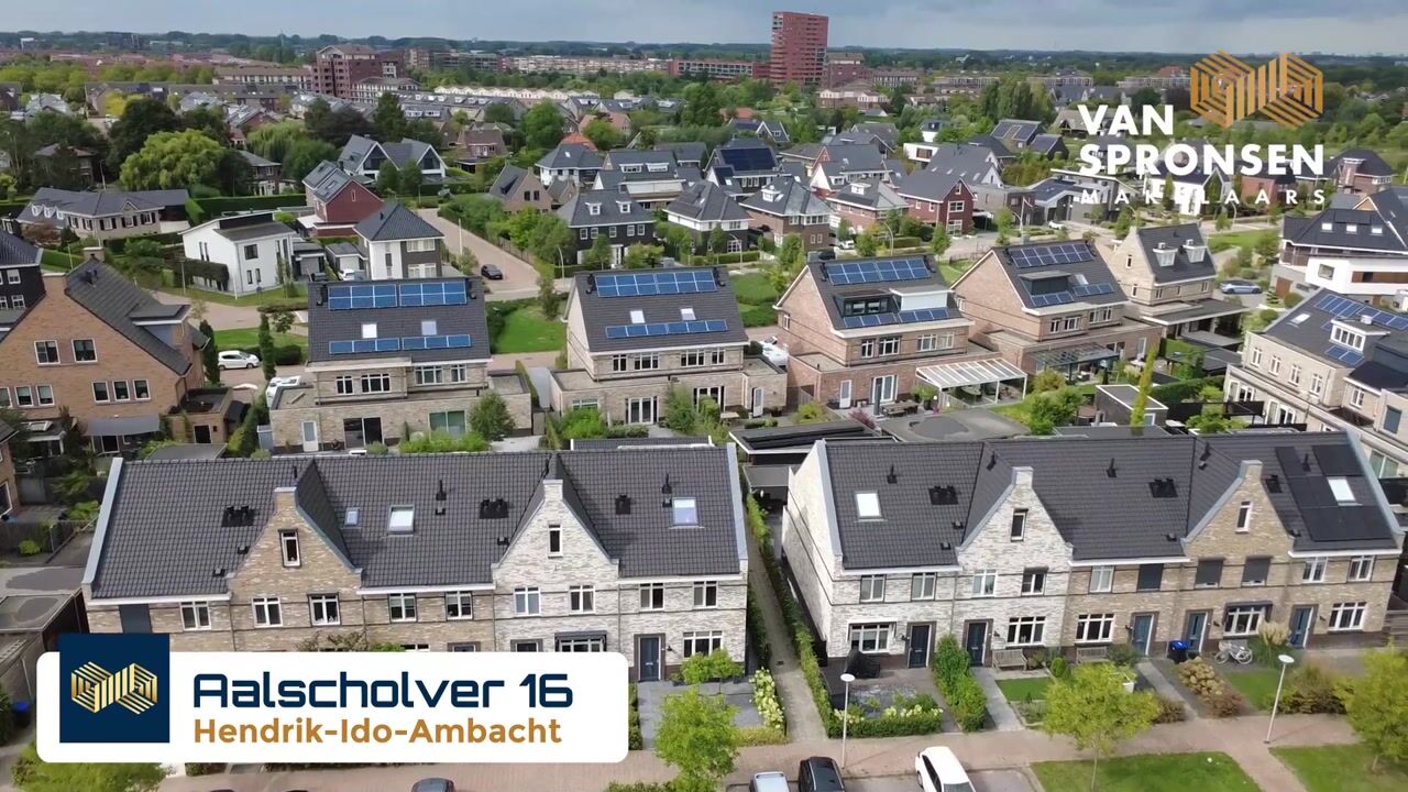 Video van Aalscholver 16