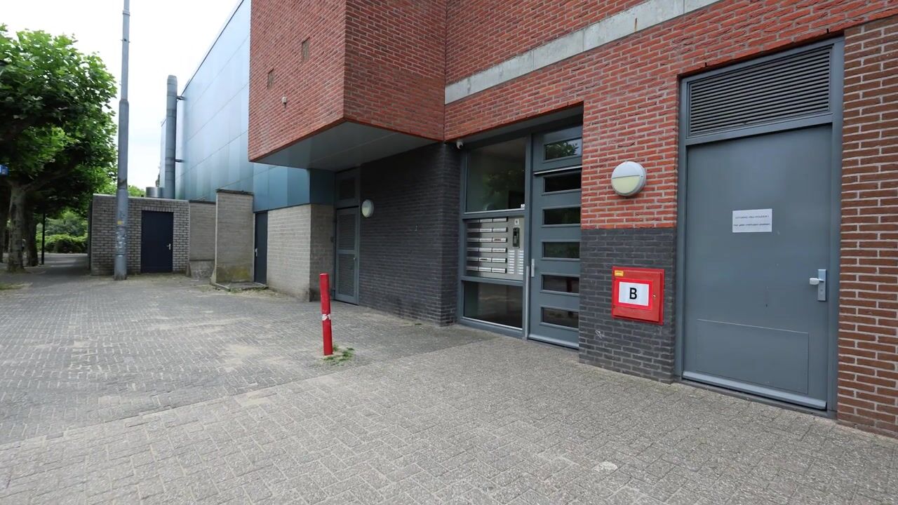 Video van Brink 49