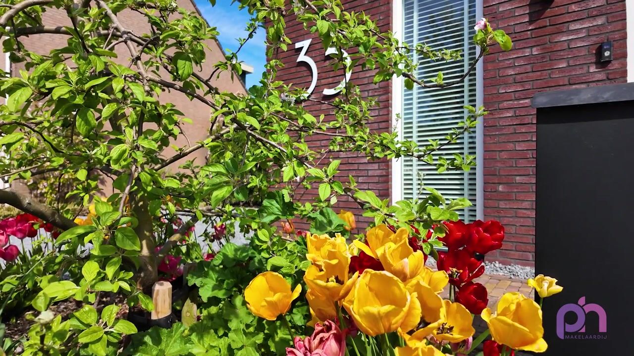 Video van Heemlaan 35