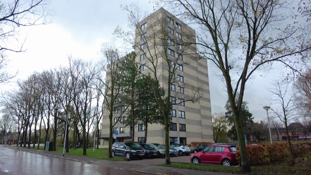 Video van Piet Heinlaan 87