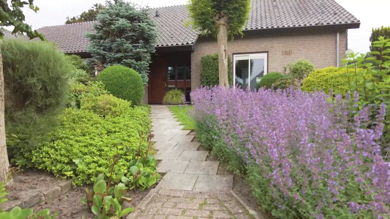 Video van De Waay 8