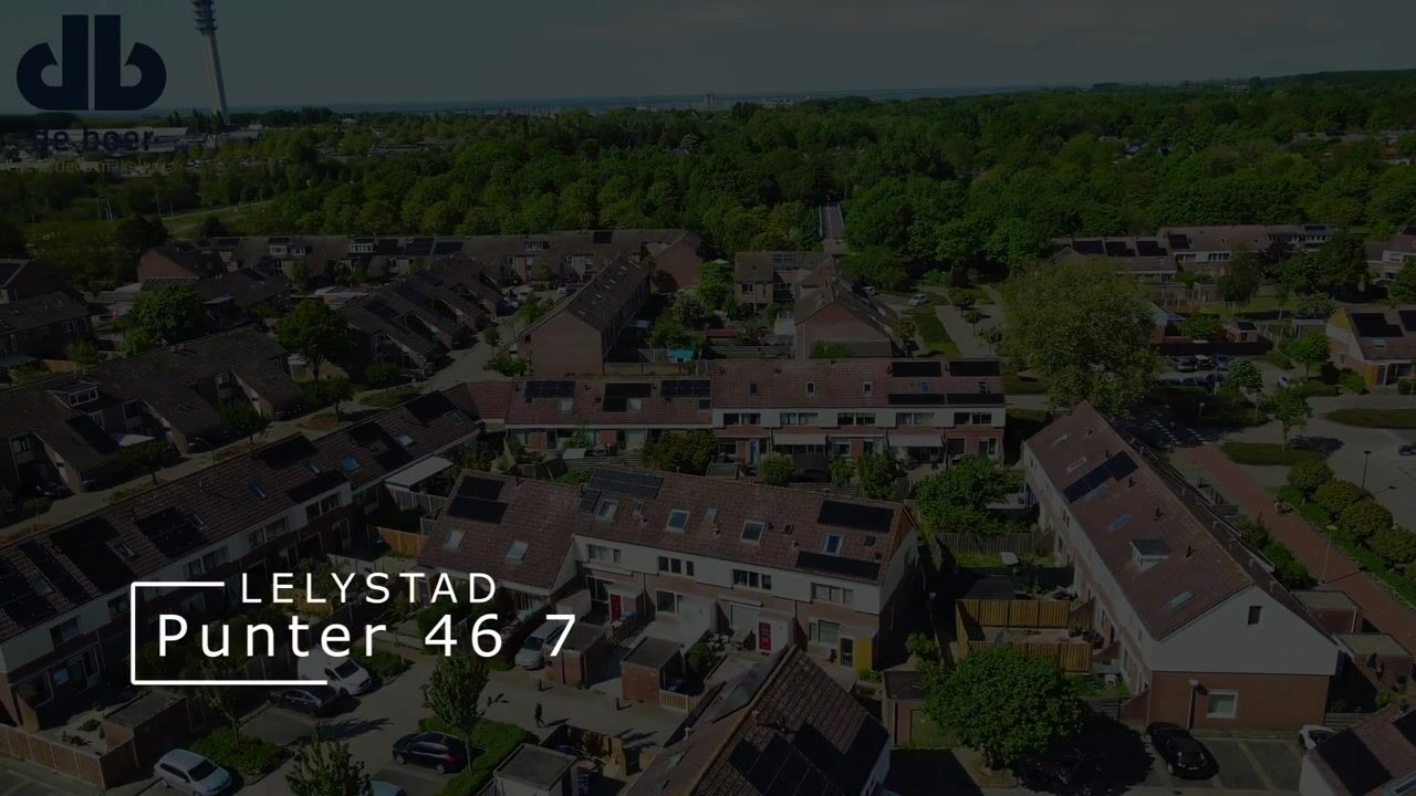 Video van Punter 46 7